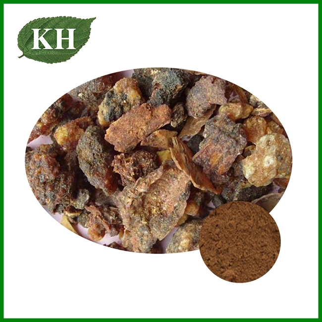 Myrrh Extract Powder